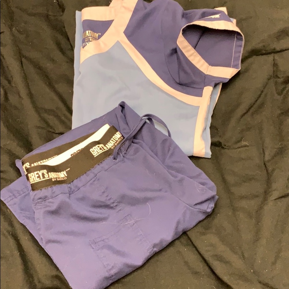 Blue grays anatomy barco size small